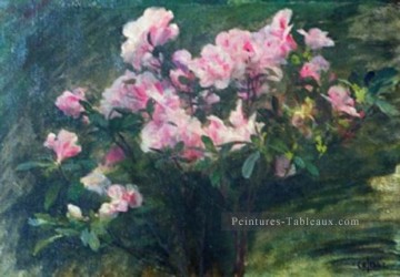  Charles Peintre - Azalees Etude fleur Charles Amable Lenoir